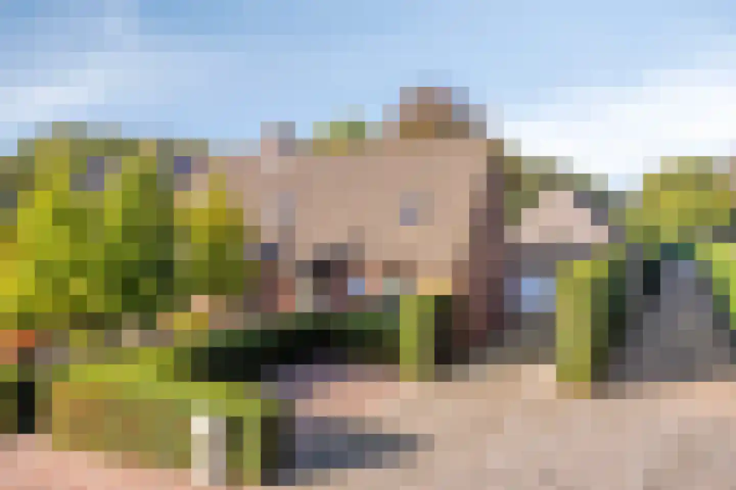 De Louwstraat 25 Schaijk thumbnail 11