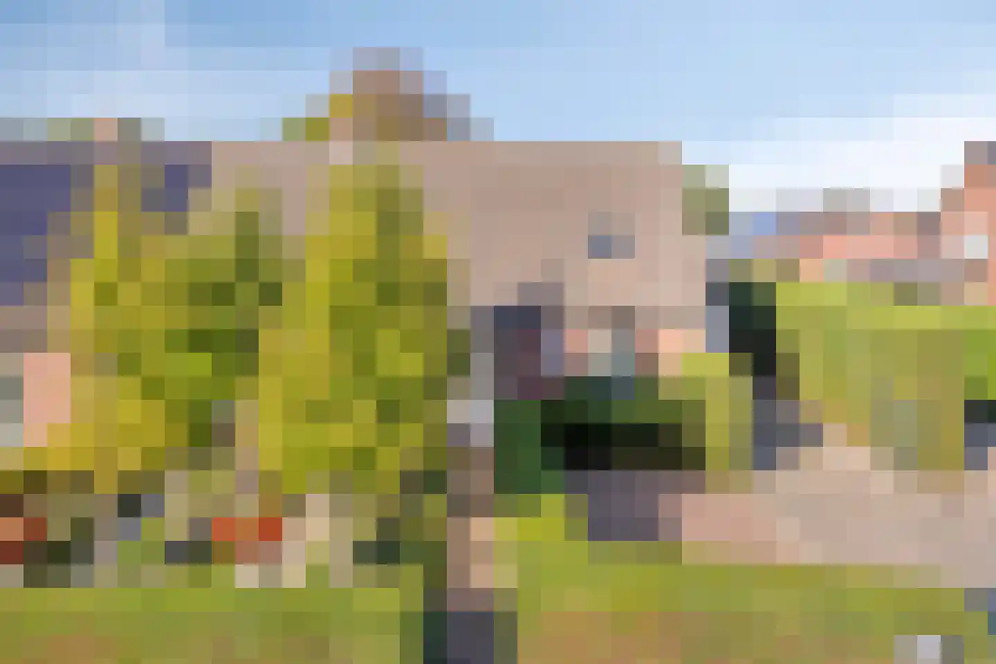 De Louwstraat 25 Schaijk thumbnail 12