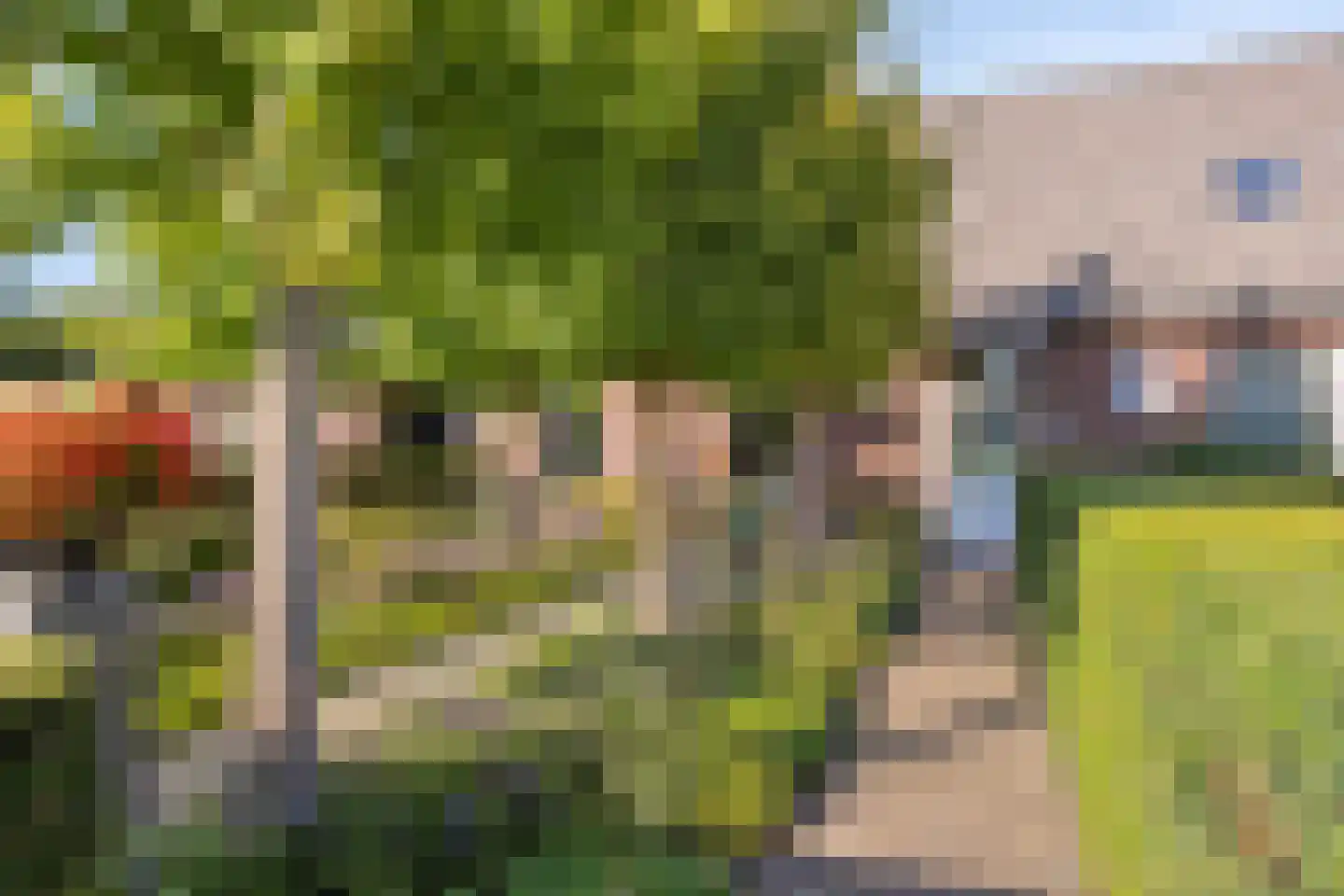 De Louwstraat 25 Schaijk thumbnail 13