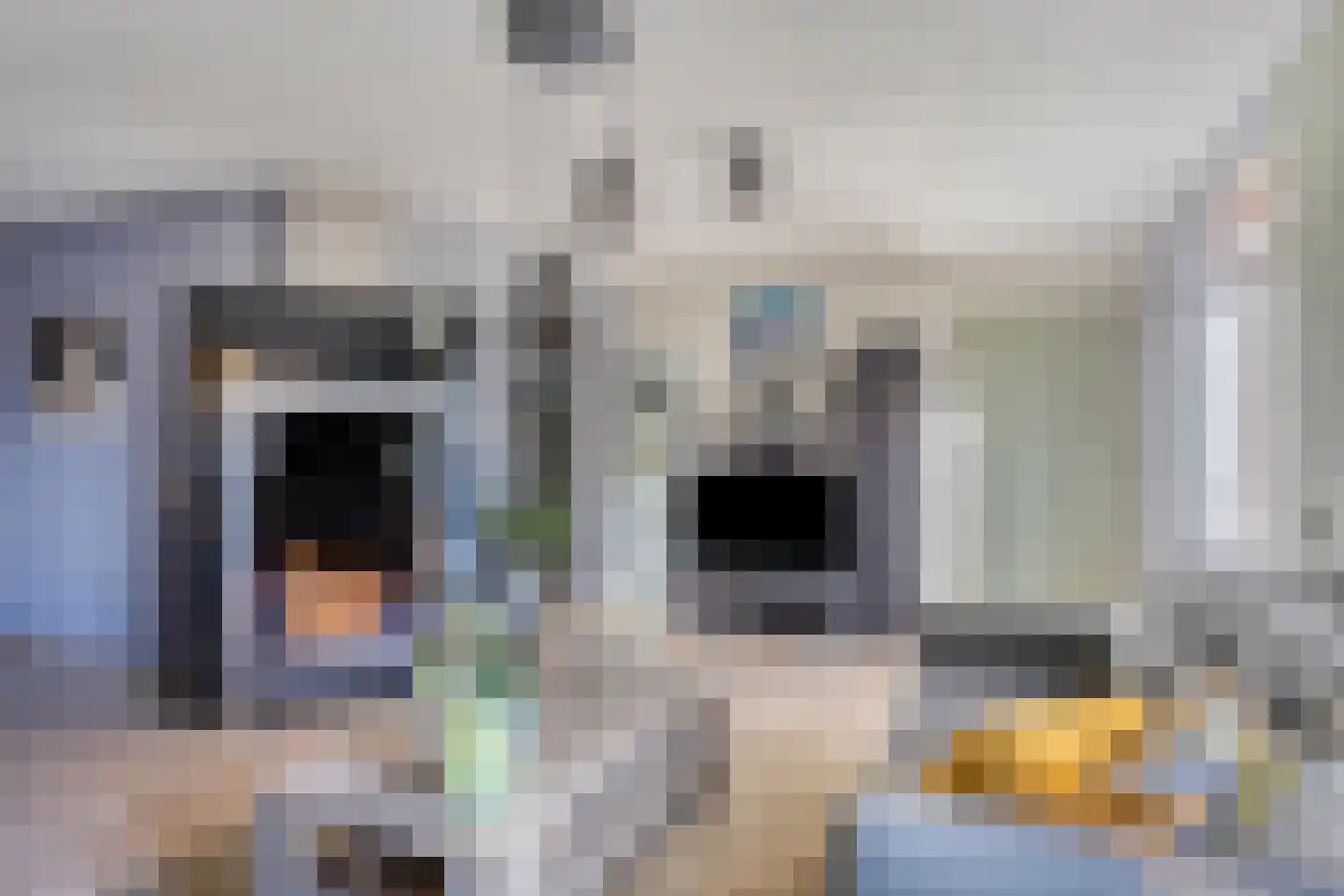 De Louwstraat 25 Schaijk thumbnail 18
