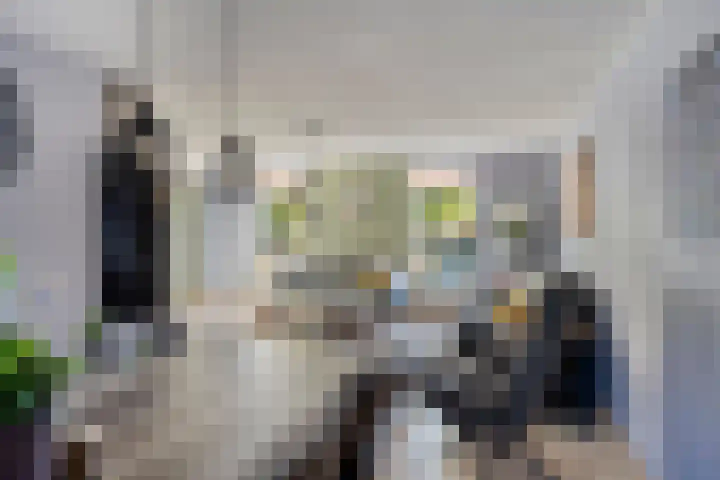 De Louwstraat 25 Schaijk thumbnail 20