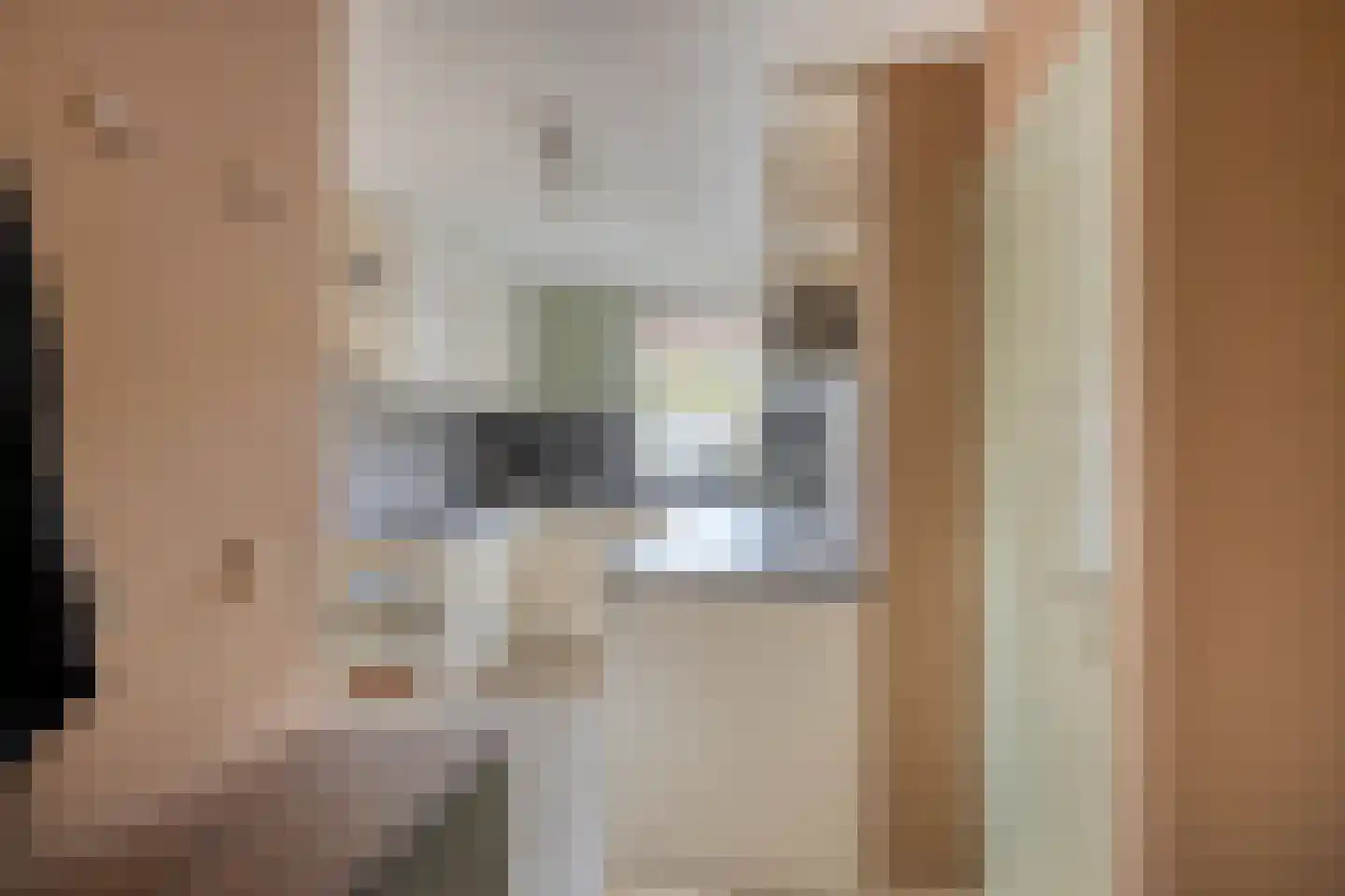 De Louwstraat 25 Schaijk thumbnail 24