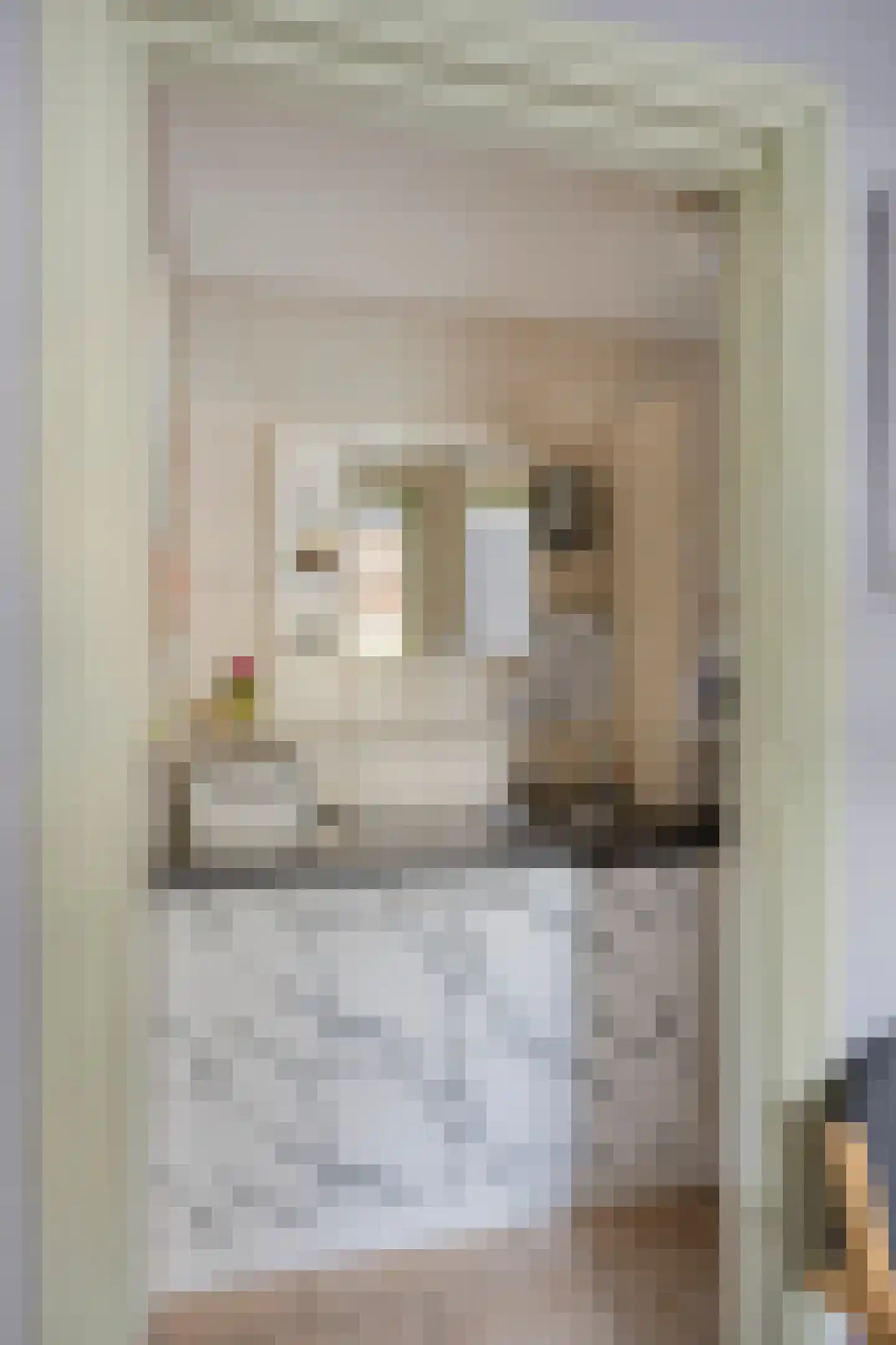 De Louwstraat 25 Schaijk thumbnail 30