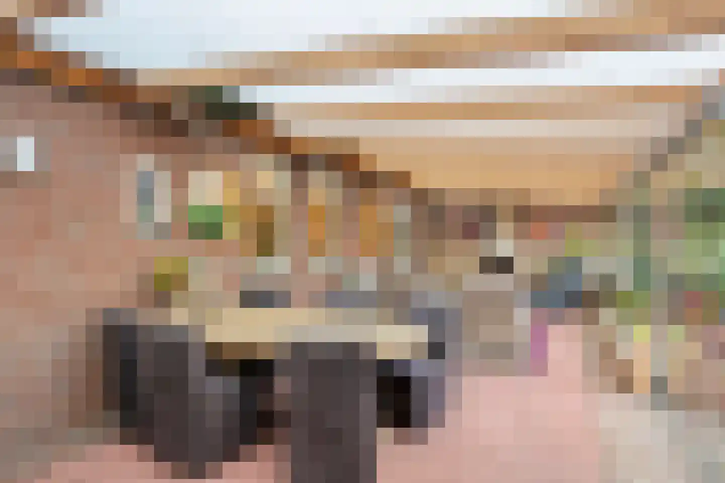 De Louwstraat 25 Schaijk thumbnail 32