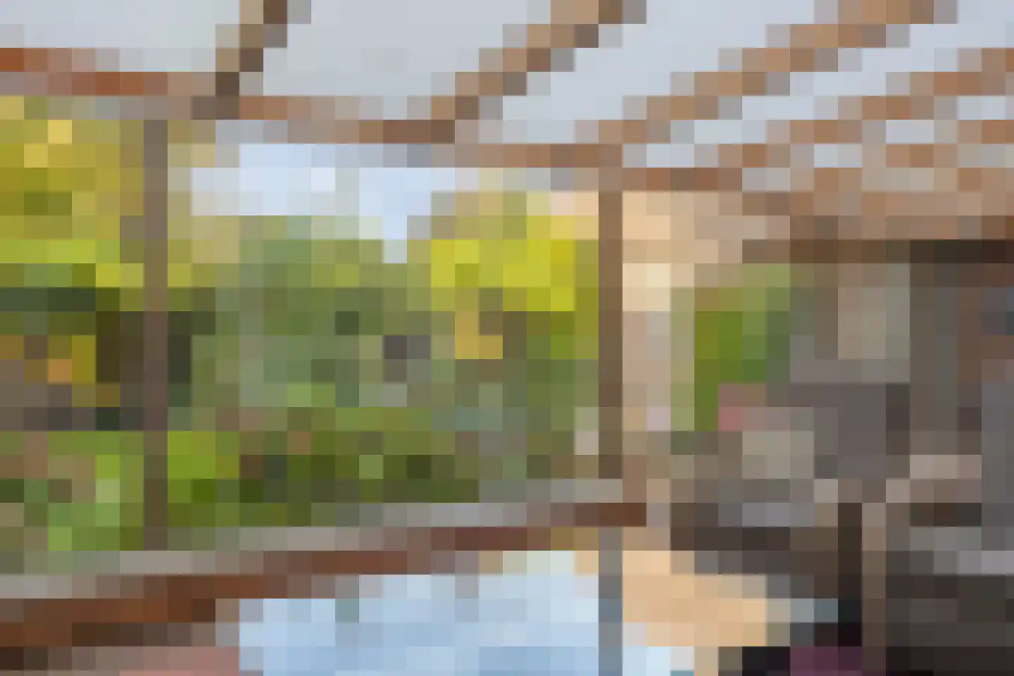 De Louwstraat 25 Schaijk thumbnail 35