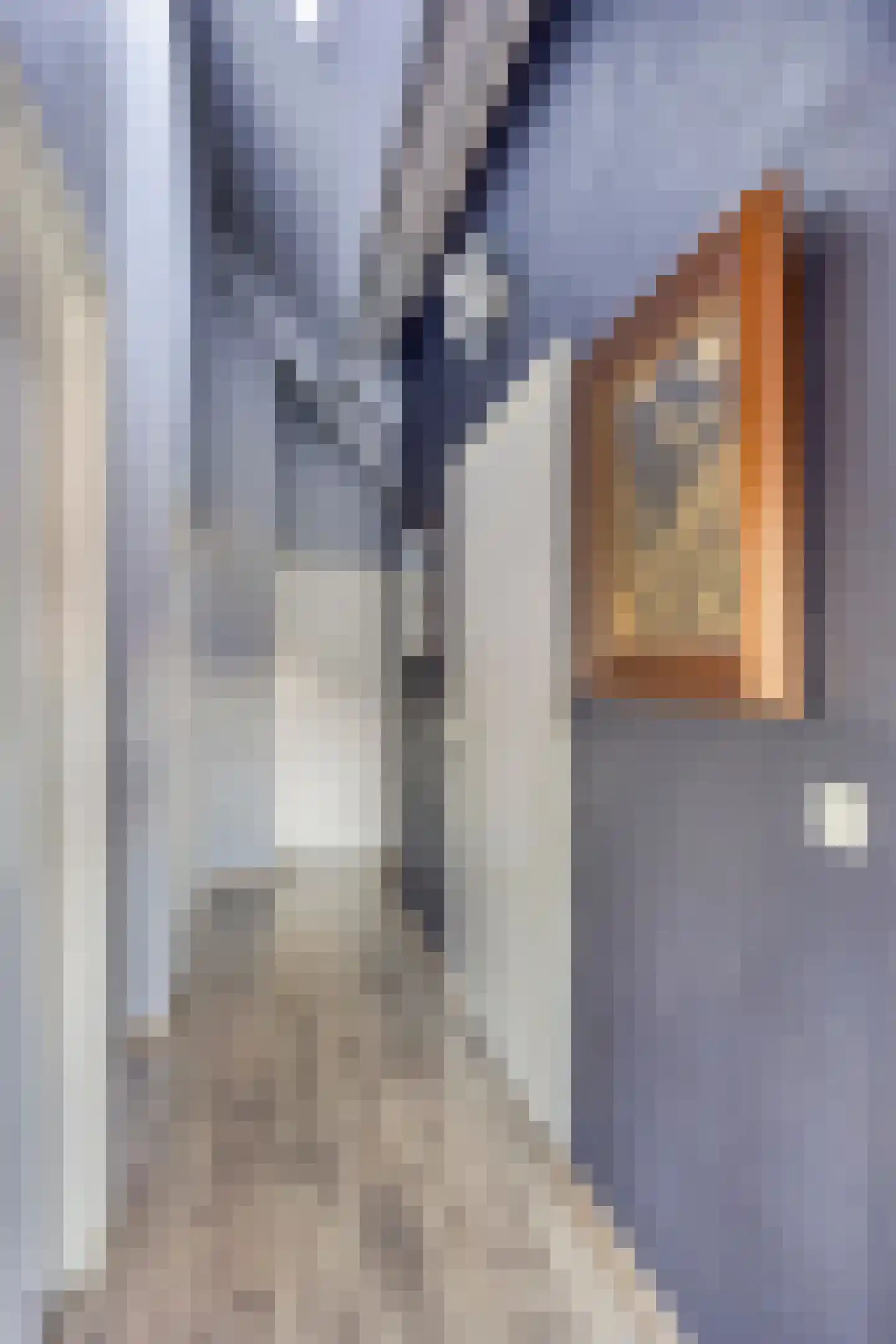 De Louwstraat 25 Schaijk thumbnail 36
