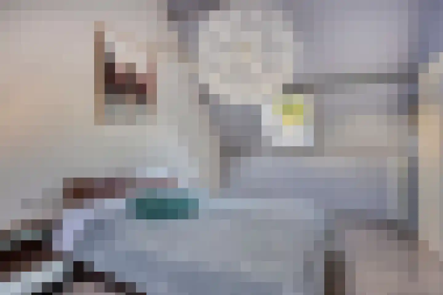 De Louwstraat 25 Schaijk thumbnail 38