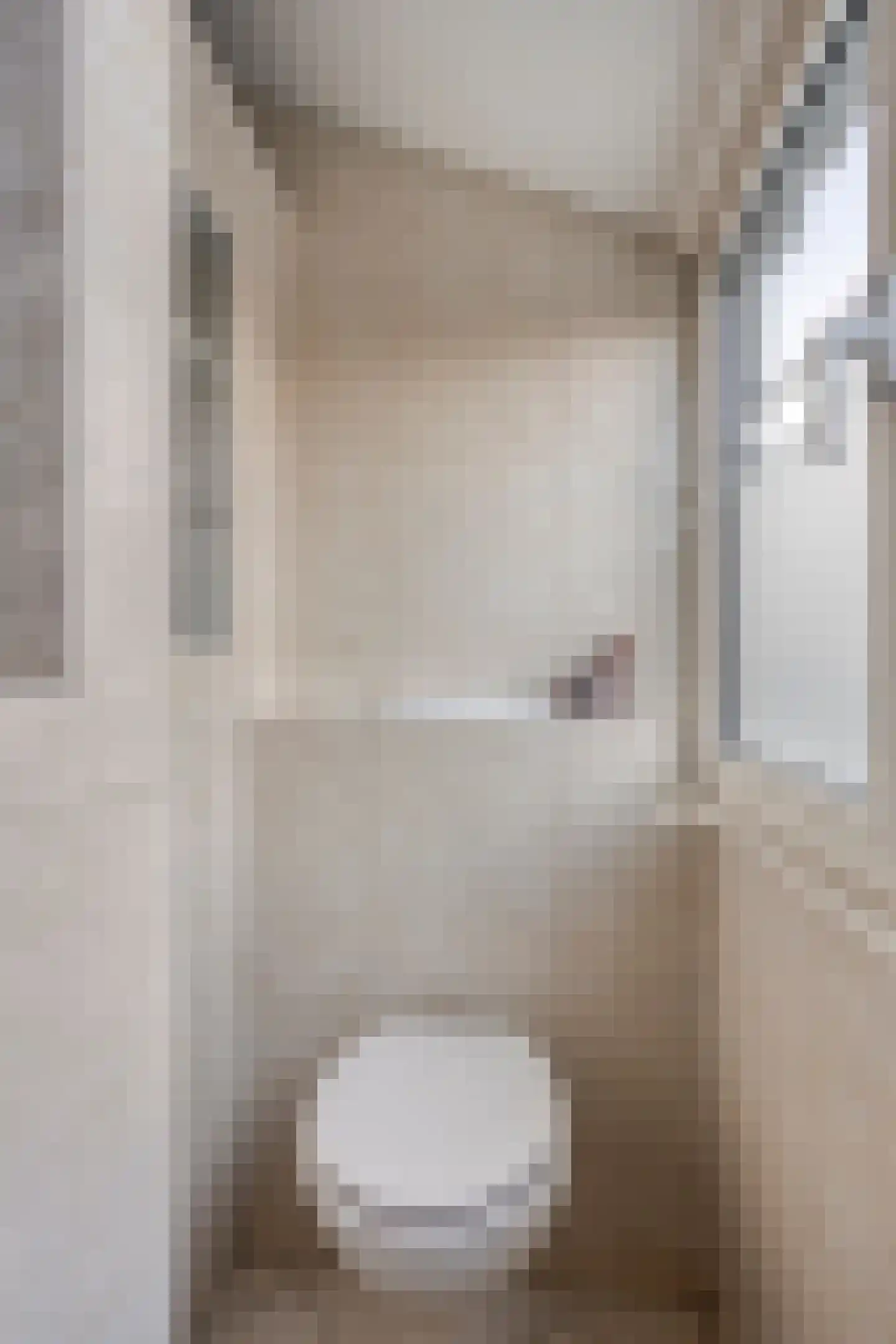 De Louwstraat 25 Schaijk thumbnail 42
