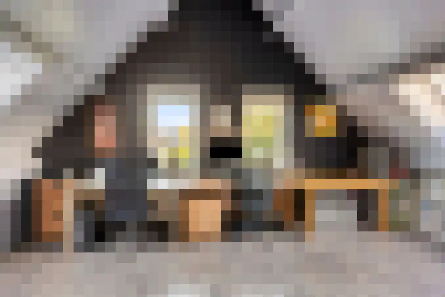 De Louwstraat 25 Schaijk thumbnail 44