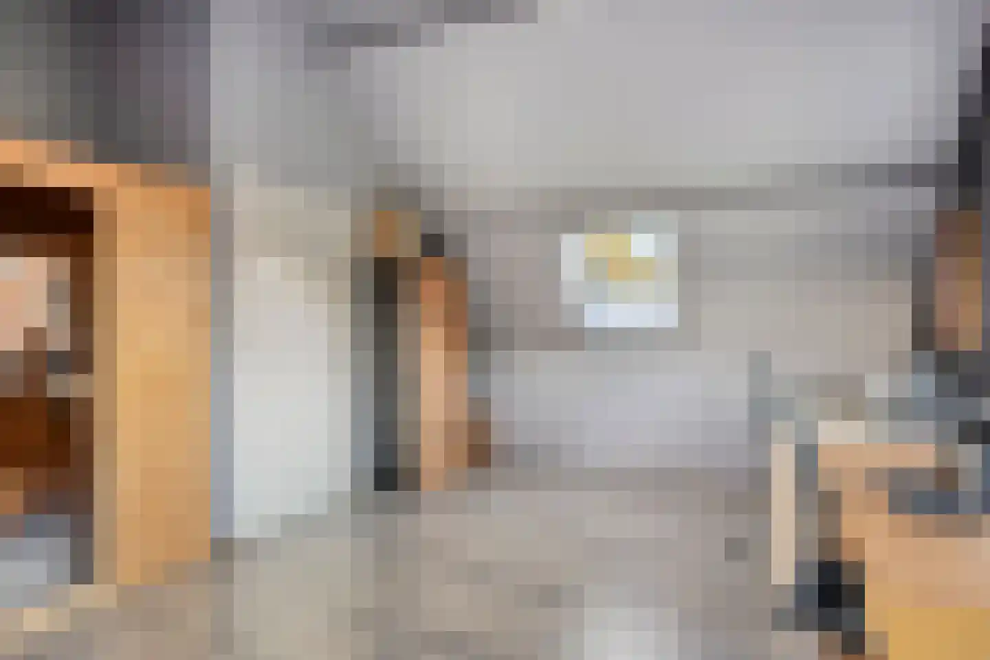 De Louwstraat 25 Schaijk thumbnail 46