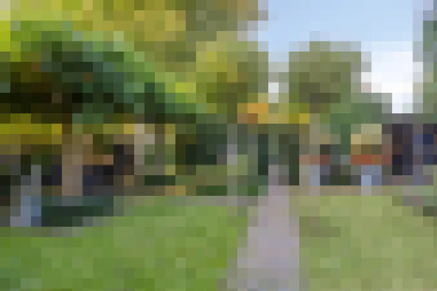 De Louwstraat 25 Schaijk thumbnail 47