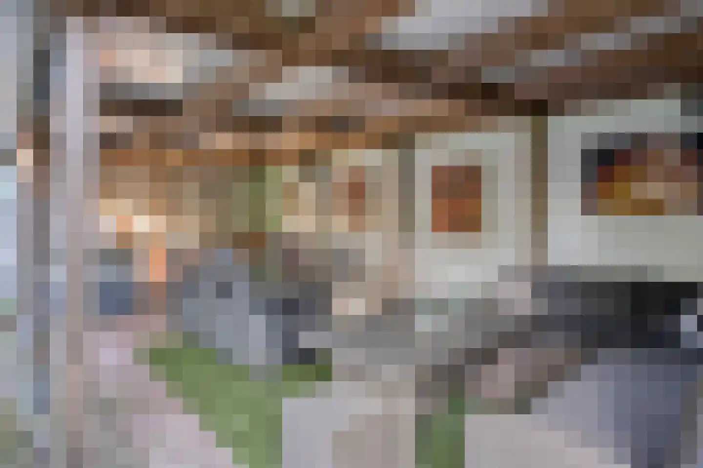 De Louwstraat 25 Schaijk thumbnail 50