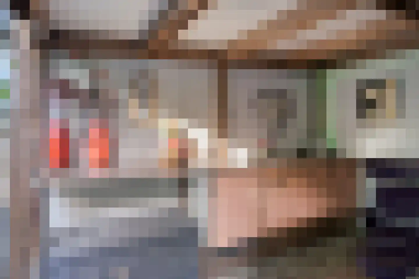 De Louwstraat 25 Schaijk thumbnail 51
