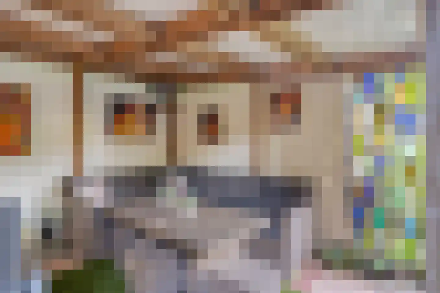 De Louwstraat 25 Schaijk thumbnail 52