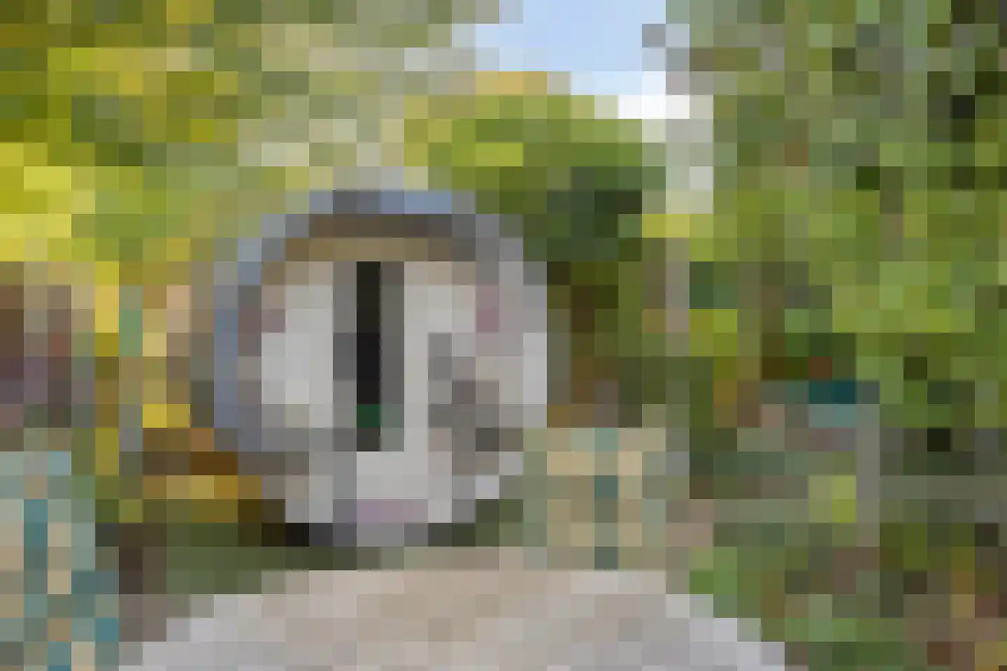 De Louwstraat 25 Schaijk thumbnail 53
