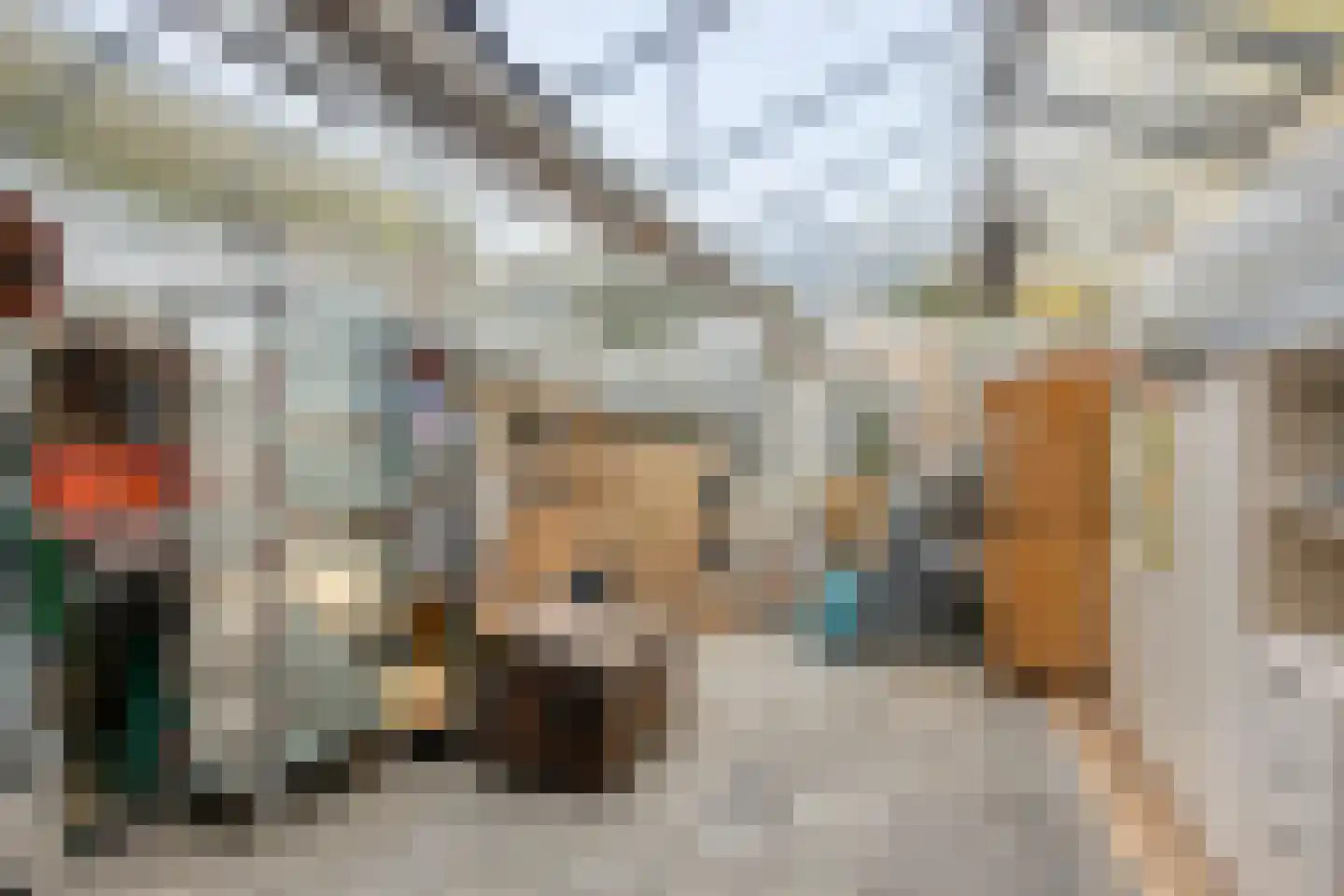 De Louwstraat 25 Schaijk thumbnail 56