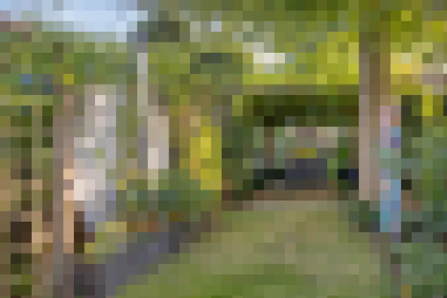 De Louwstraat 25 Schaijk thumbnail 57