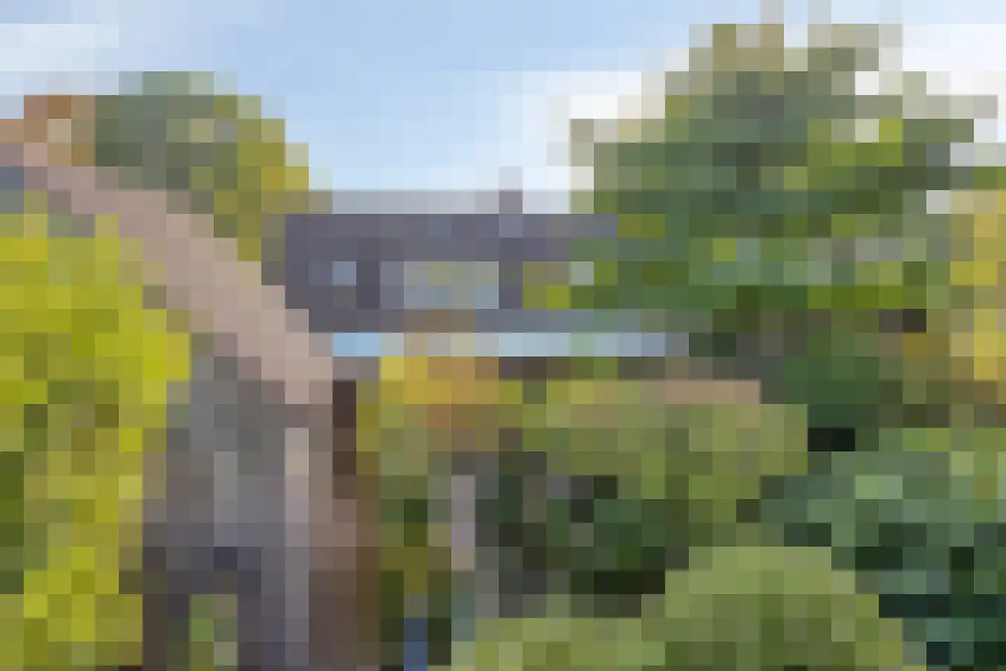 De Louwstraat 25 Schaijk thumbnail 59
