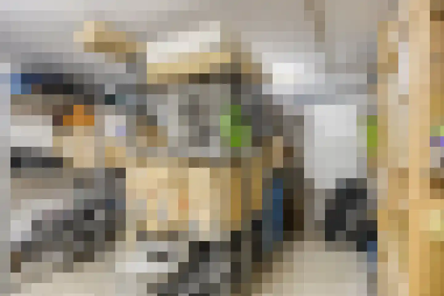 De Louwstraat 25 Schaijk thumbnail 63