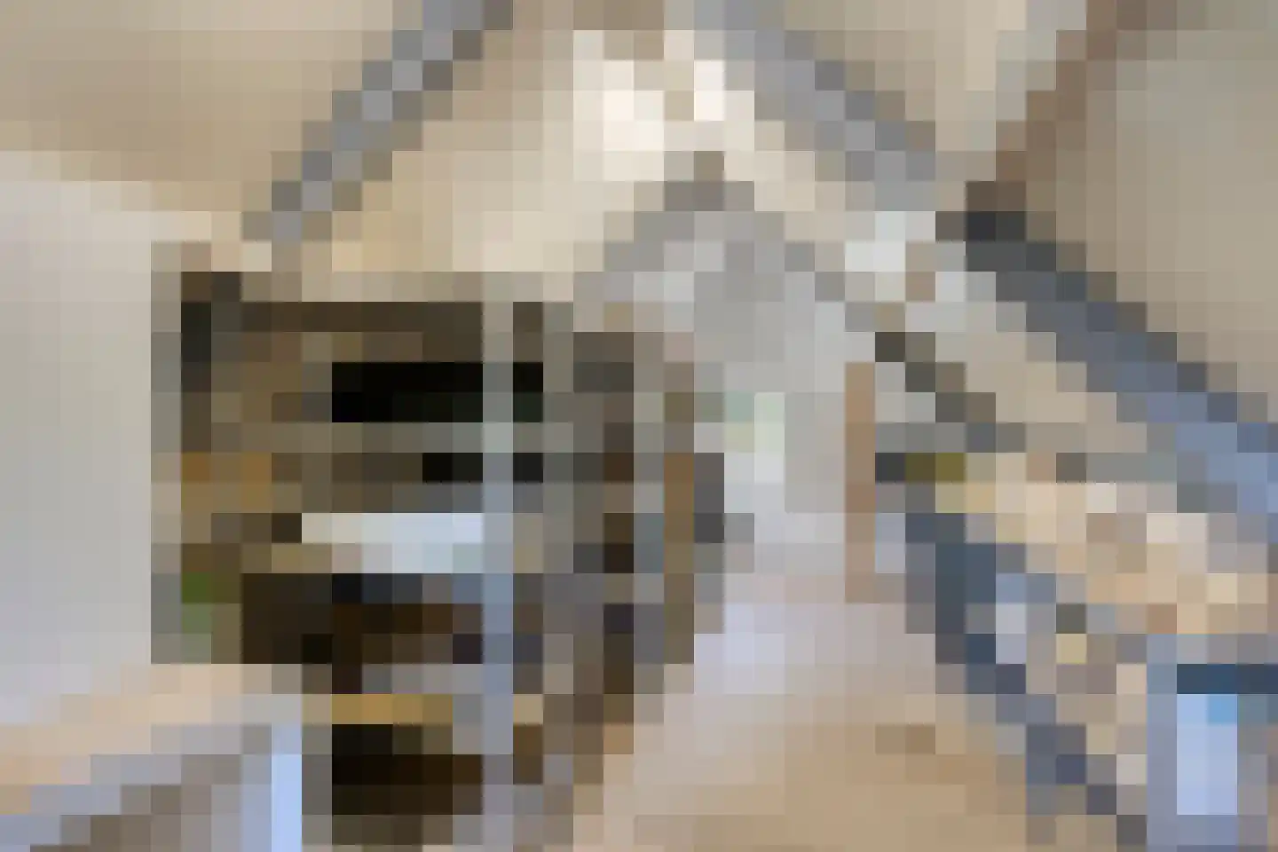 De Louwstraat 25 Schaijk thumbnail 64