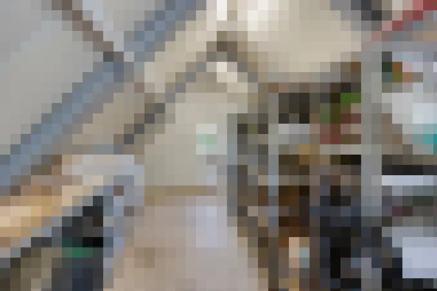 De Louwstraat 25 Schaijk thumbnail 65
