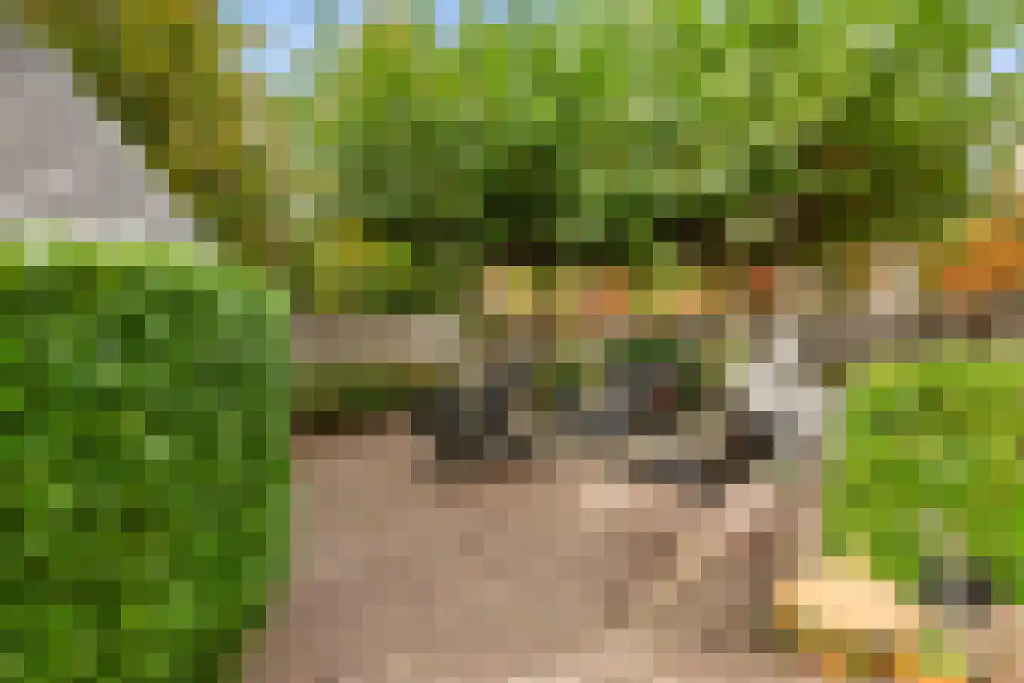 De Lugt 16 Rotterdam thumbnail 15