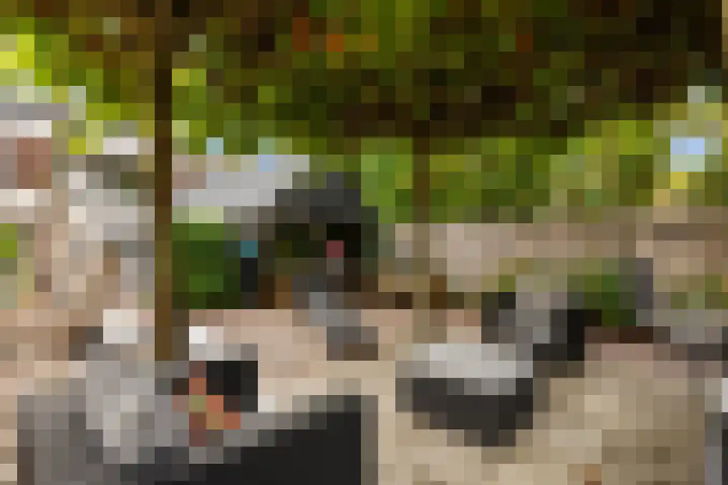 De Lugt 16 Rotterdam thumbnail 20