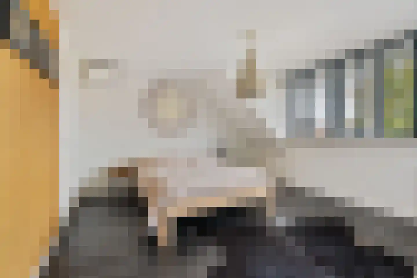 De Lugt 16 Rotterdam thumbnail 25
