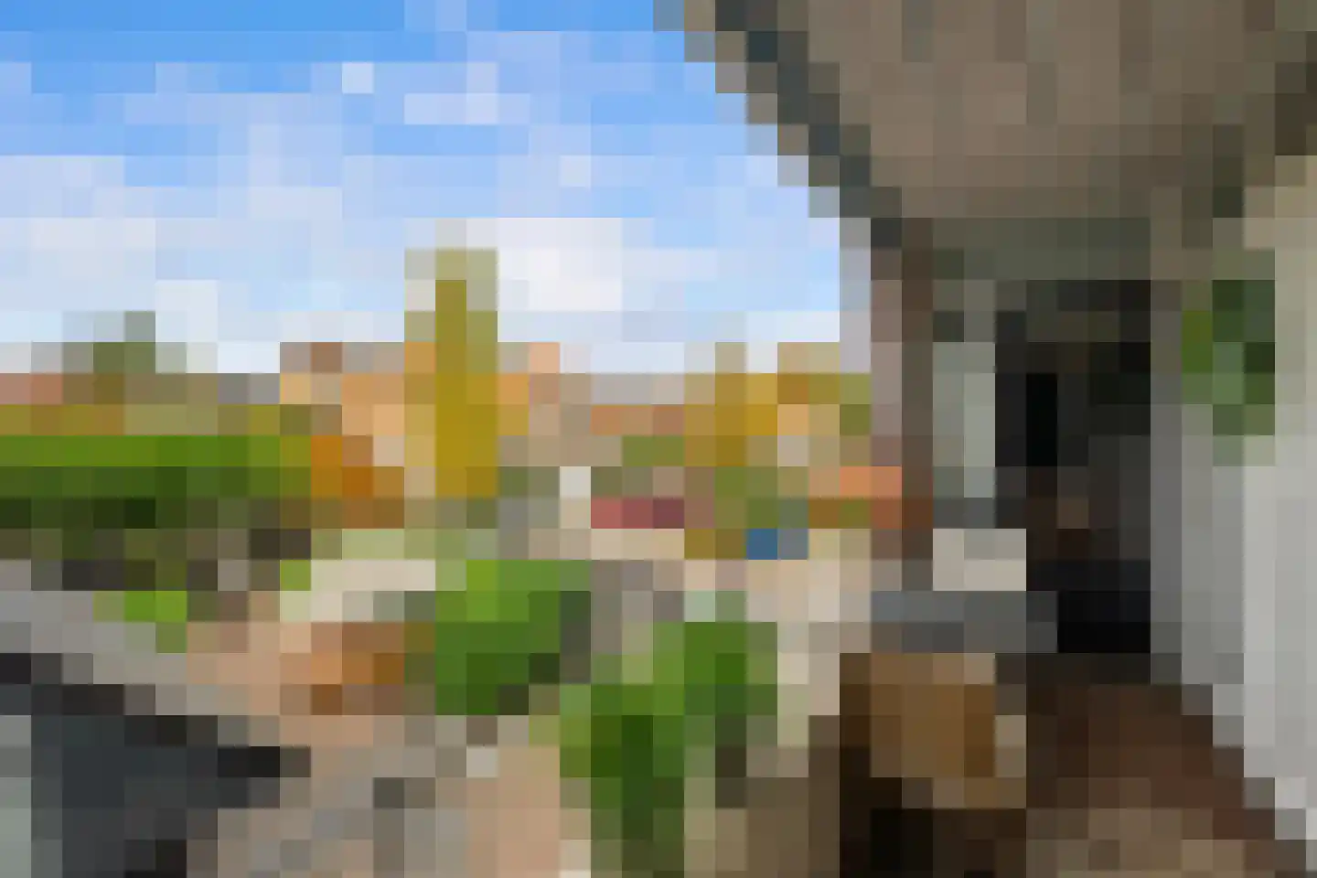 De Lugt 16 Rotterdam thumbnail 25