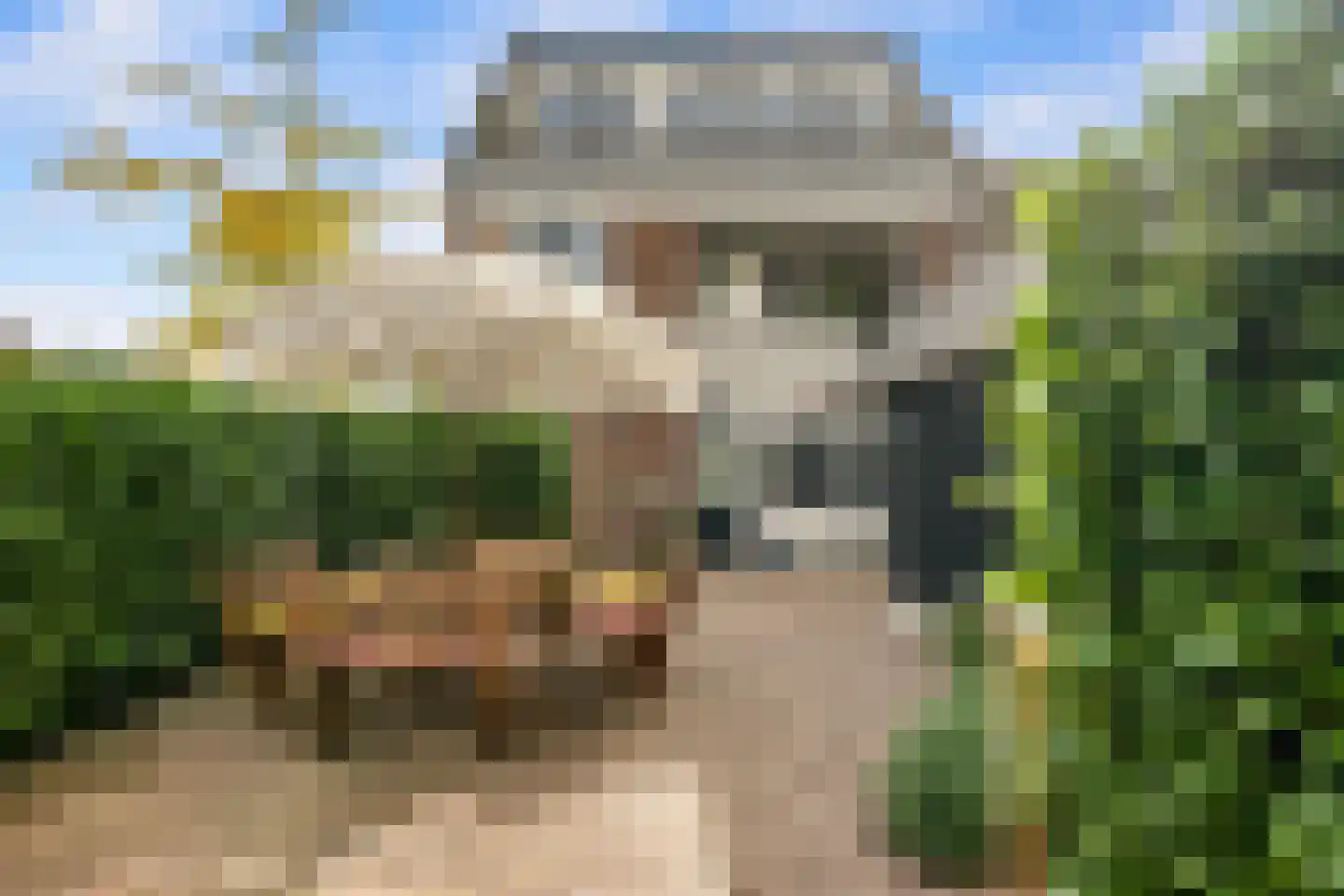 De Lugt 16 Rotterdam thumbnail 32