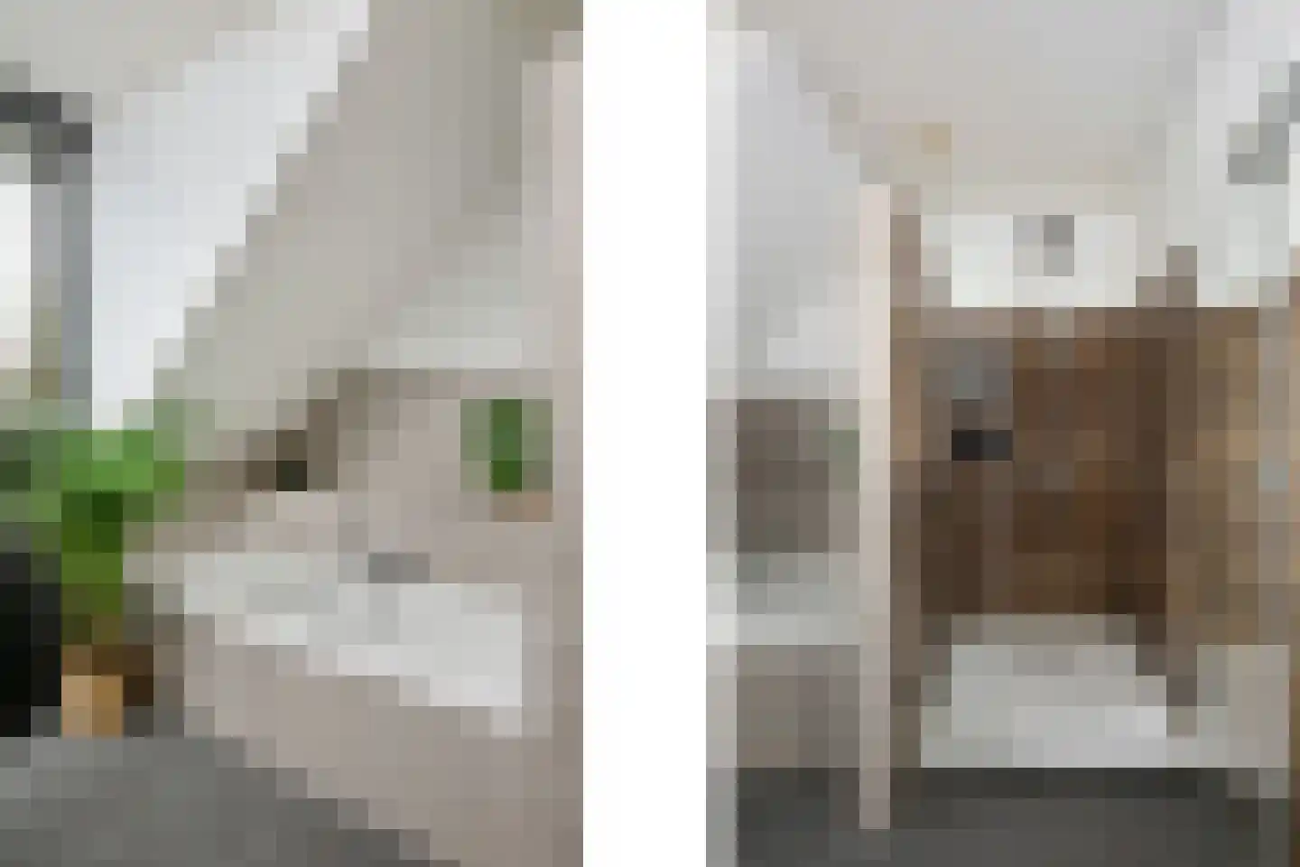 De Lugt 16 Rotterdam thumbnail 32