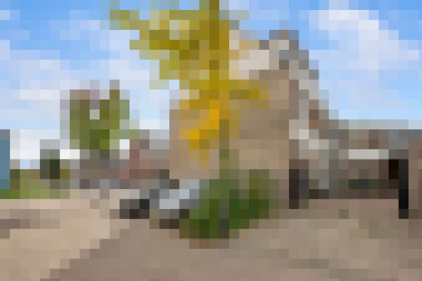 De Lugt 16 Rotterdam thumbnail 46
