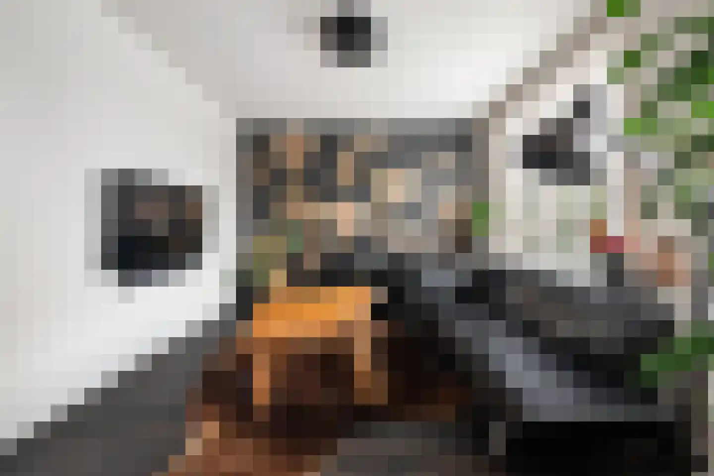 De Lugt 16 Rotterdam thumbnail 7