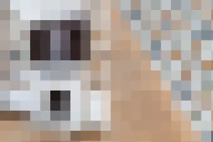 De Lugt 4 Rotterdam thumbnail 13