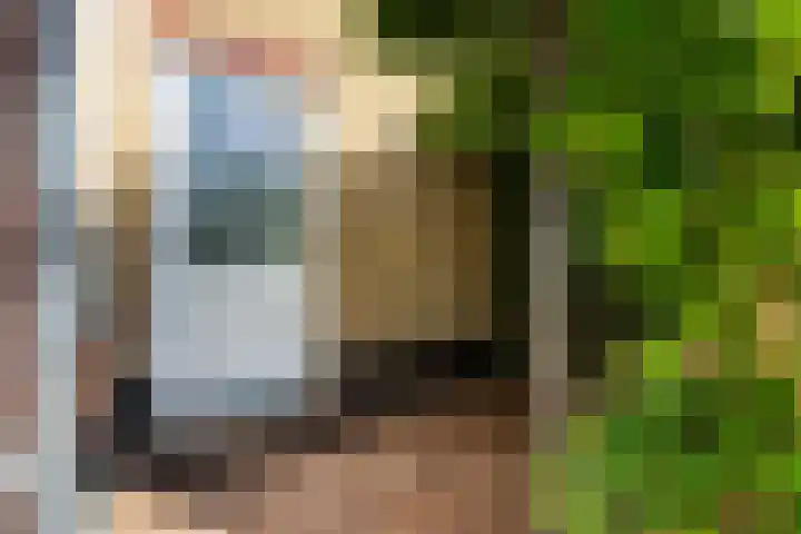 De Lugt 4 Rotterdam thumbnail 24