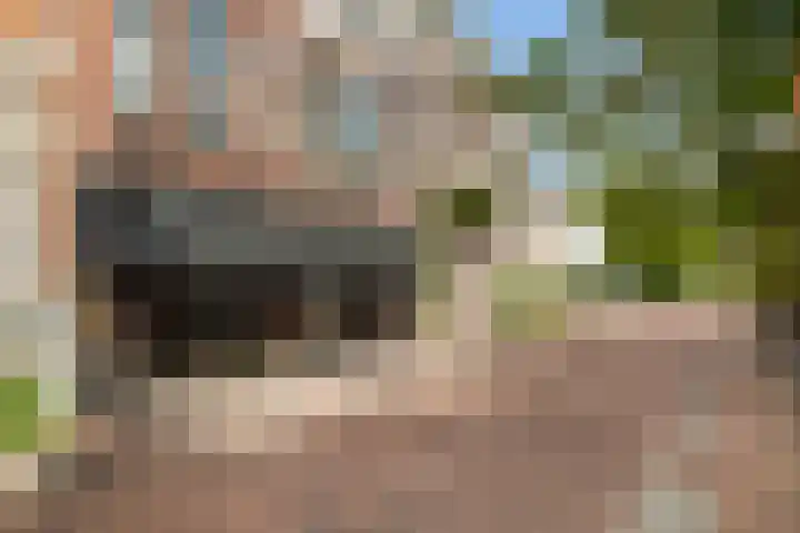 De Lugt 4 Rotterdam thumbnail 47