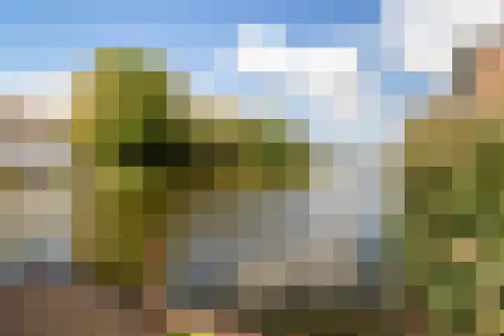 De Lugt 4 Rotterdam thumbnail 49