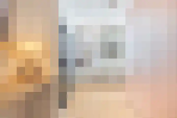 De Lugt 4 Rotterdam thumbnail 5