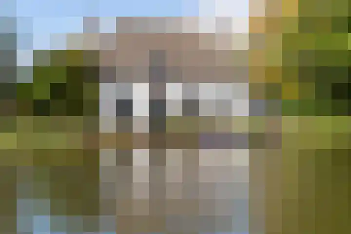 De Lugt 4 Rotterdam thumbnail 50