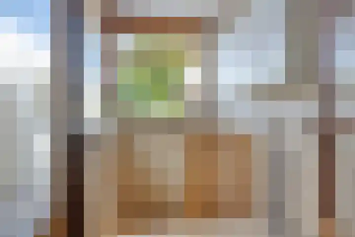 de Luinink 15 Denekamp thumbnail 11