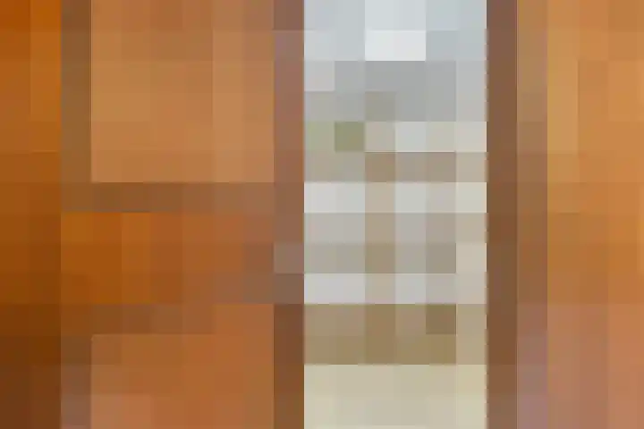 de Luinink 15 Denekamp thumbnail 12
