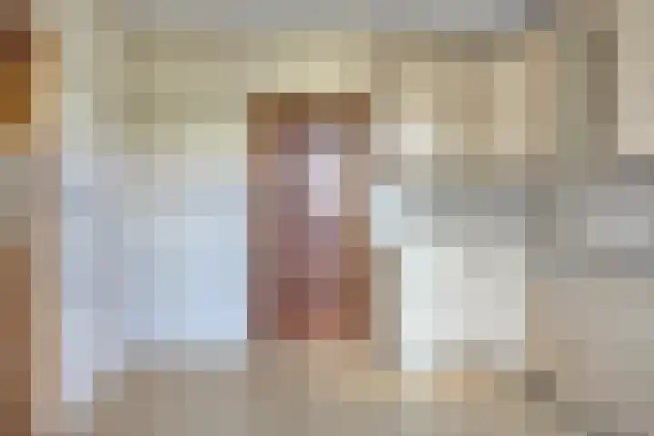 de Luinink 15 Denekamp thumbnail 13