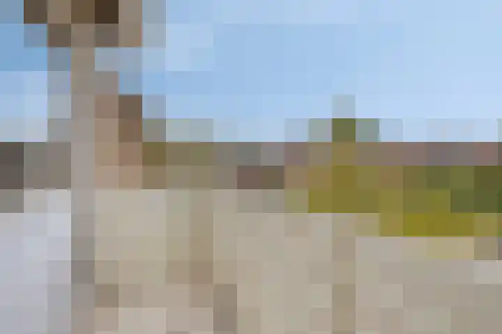 de Luinink 15 Denekamp thumbnail 18