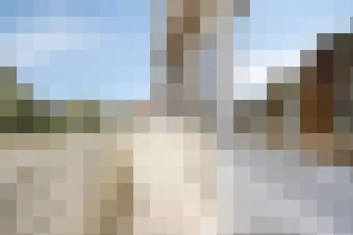 de Luinink 15 Denekamp thumbnail 19