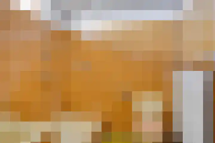 de Luinink 15 Denekamp thumbnail 20