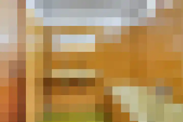 de Luinink 15 Denekamp thumbnail 21