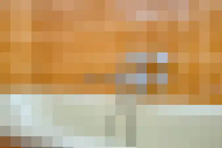 de Luinink 15 Denekamp thumbnail 22