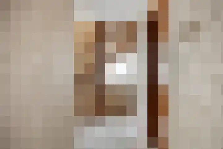 de Luinink 15 Denekamp thumbnail 25