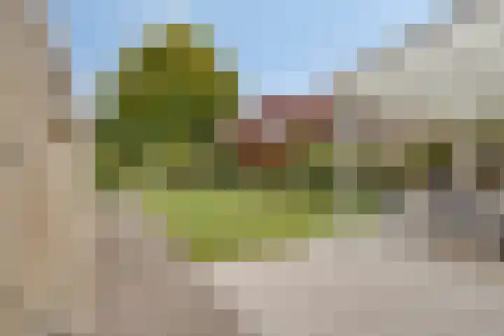 de Luinink 15 Denekamp thumbnail 29