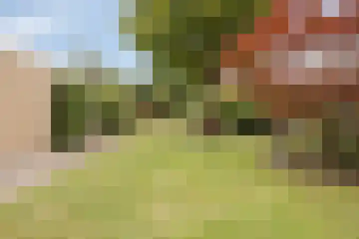 de Luinink 15 Denekamp thumbnail 32